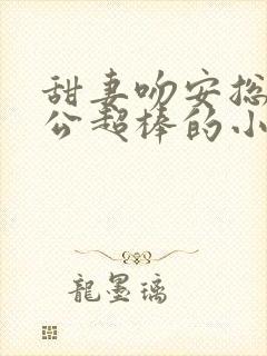 甜妻吻安总裁老公超棒的小说