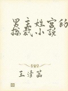 男主姓宫的现代总裁小说