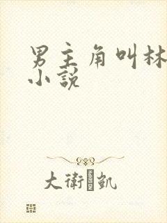 男主角叫林凡的小说