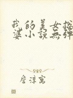 我的美女总裁老婆小说无弹窗