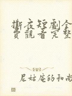 撕夜短剧全集免费观看完整版