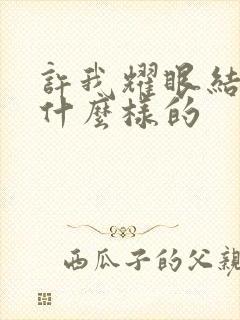 许我耀眼结局是什么样的