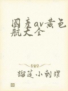 国产av黄色导航大全