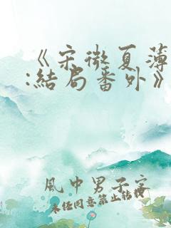 《宋微夏薄以宸:结局番外》