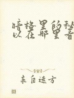 暗格里的秘密可以在哪里看