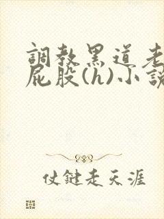 调教黑道老大的屁股(h)小说