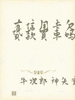 有信用卡欠款能贷款买车吗