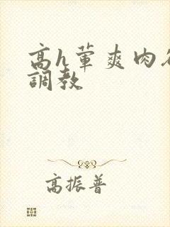 高h荤爽肉欲文调教