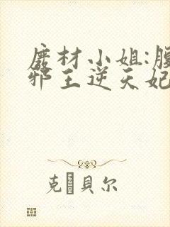 废材小姐:腹黑邪王逆天妃 叶轻轻