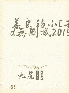 善良的小[子hd无删减2015
