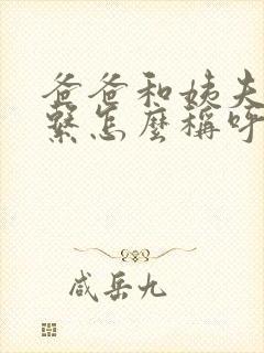 爸爸和姨夫的关系怎么称呼