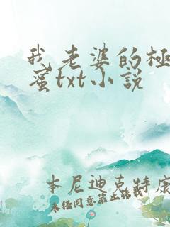 我老婆的极品闺蜜txt小说