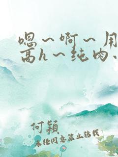 嗯～啊～用力～高h～纯肉小说