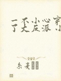 一不小心穿越成了大反派 小说