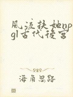 风流扶她np肉gl古代后宫