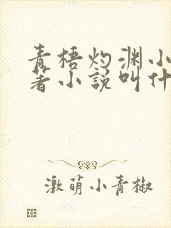 青梧灼渊小说原著小说叫什么名字