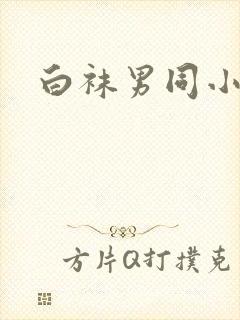 白袜男同小正太