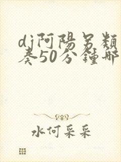dj阿阳另类伴奏50分钟哪里有