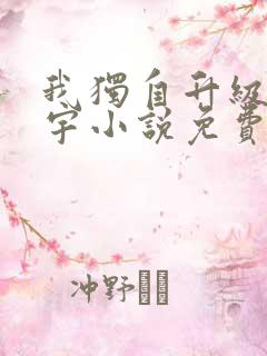 我独自升级肖程宇小说免费