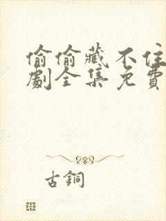 偷偷藏不住电视剧全集免费播放