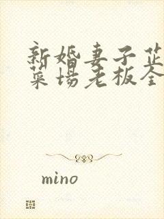 新婚妻子芷珊和菜场老板全文阅读