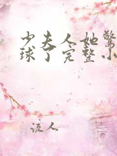 少夫人她惊艳全球了完整小说