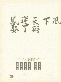 凤逆天下凰战野娶了谁