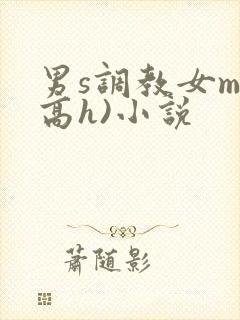 男s调教女m(高h)小说