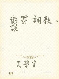 惩罚 调教 小说