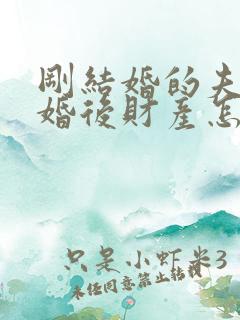 刚结婚的夫妻离婚后财产怎么分配