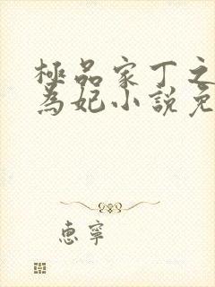 极品家丁之册母为妃小说免费阅读