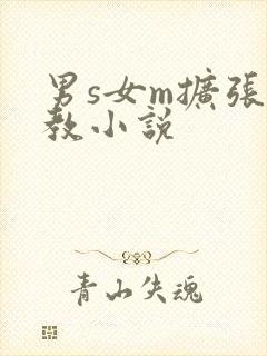 男s女m扩张调教小说