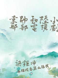 袁帅和陆小山是哪部电视剧