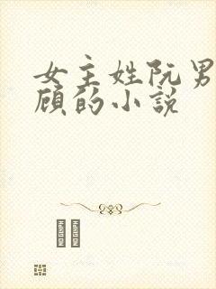 女主姓阮男主姓顾的小说