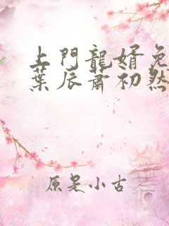 上门龙婿免全文叶辰萧初然最新章节