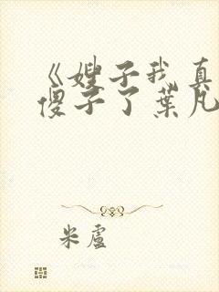 《嫂子我真不是傻子了叶凡》