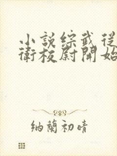 小说综武从锦衣卫校尉开始