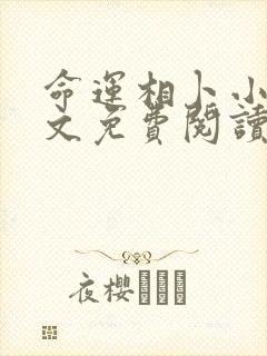 命运相卜小说全文免费阅读最新章节