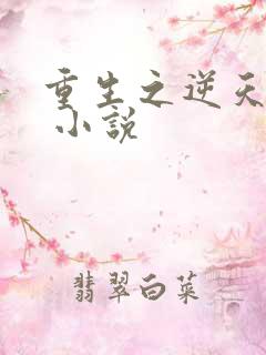 重生之逆天邪妃 小说