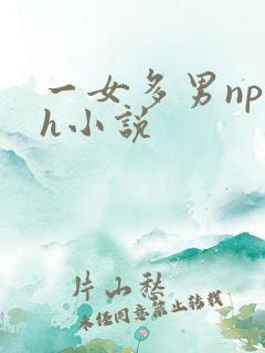 一女多男np高h小说