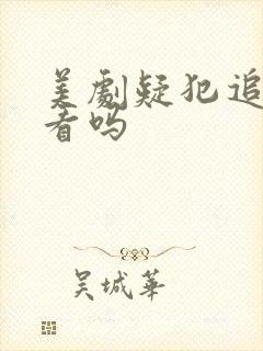 美剧疑犯追踪好看吗