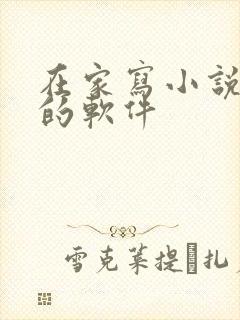 在家写小说赚钱的软件