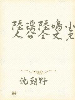 陆瑶陆鸣小说主人公全文免费阅读