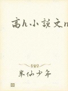 高h小说文np