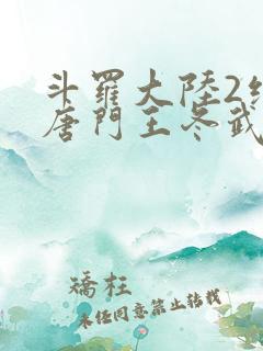斗罗大陆2绝世唐门王冬武魂