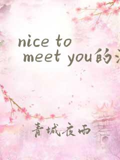 nice to meet you的汉语