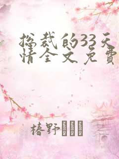 总裁的33天索情全文免费阅读全文