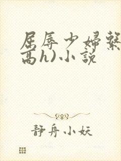 屈辱少妇系列(高h)小说