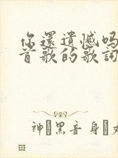 你还遗憾吗是哪首歌的歌词