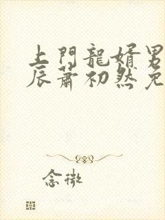 上门龙婿男主叶辰萧初然免费全文阅读